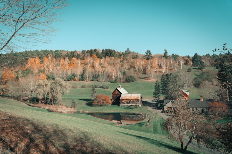 vermont farm